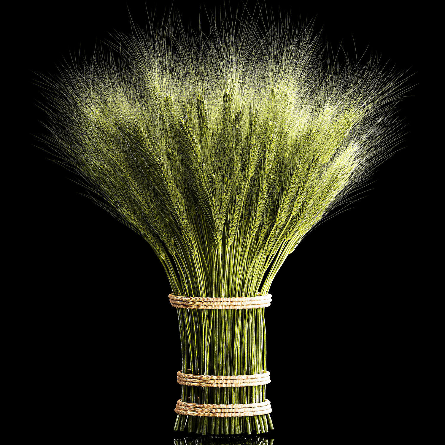 Decorative bouquet of green spikelets of wheat 286 3D model_1