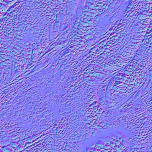  Wyvern Dragon Wings 3D model_12