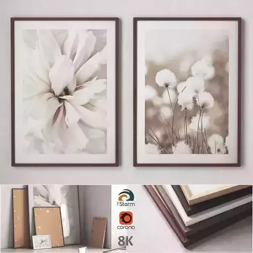 Poster set -  Flowers and fields