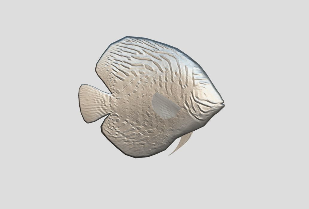 Discus  Realistic Animated Low-poly 3D model_2