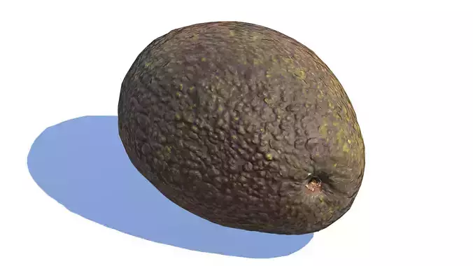 Avocado photogrammetry scan