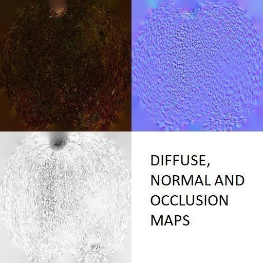 Avocado photogrammetry scan Low-poly 3D model_5