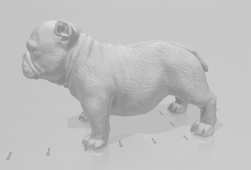 perro exotic bully cachorro 3D print model_1