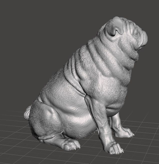Perrita Pug Carlino Hembra 3D print model_2