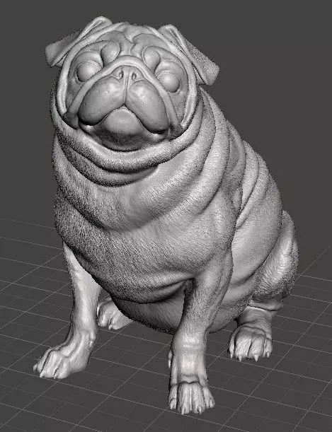 Perrita Pug Carlino Hembra 3D print model_0
