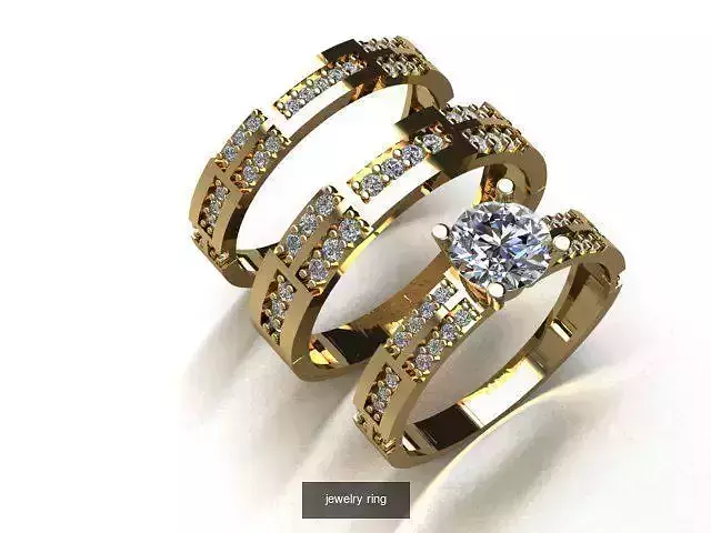 there are 12 jewelry rings in this file  3D Model Collection