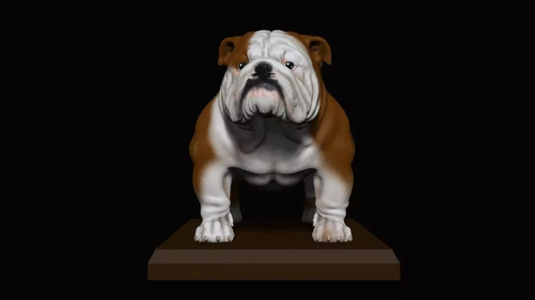 bulldog ingles  3D print model_0