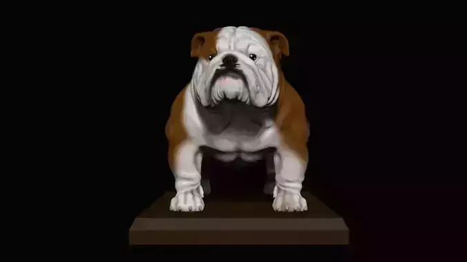 bulldog ingles 
