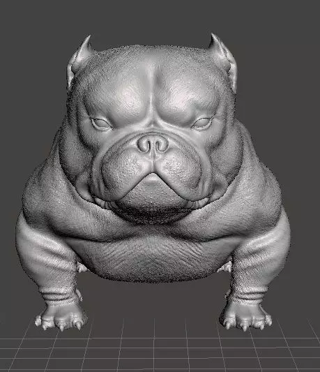 Perro exotic bully 3D print model_0