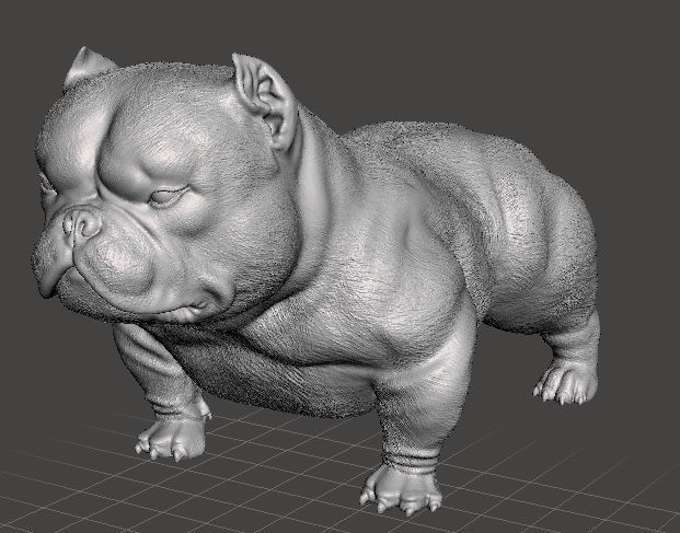 Perro exotic bully 3D print model_1