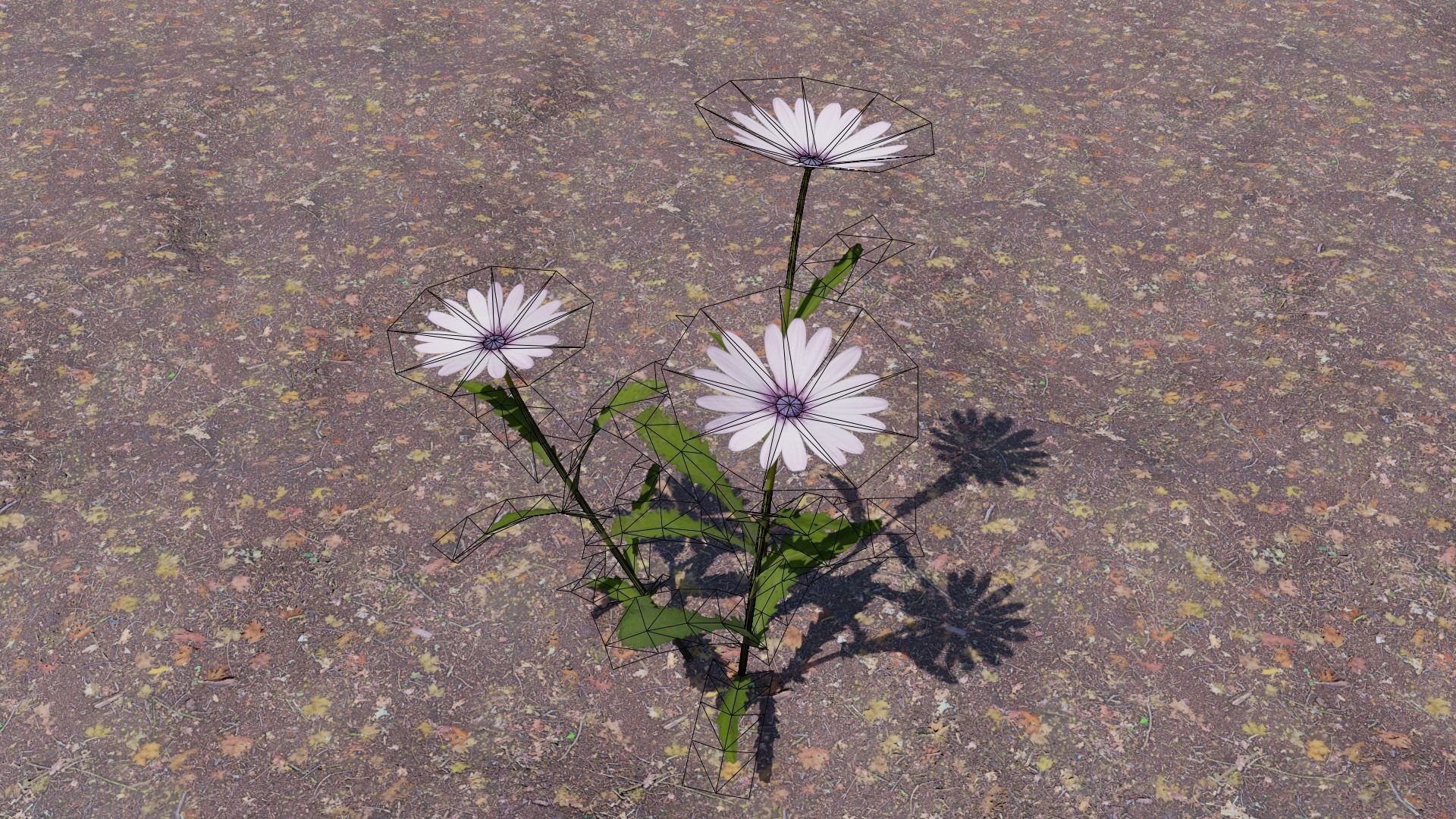 Flowering Plants Collection Low-poly 3D model_16