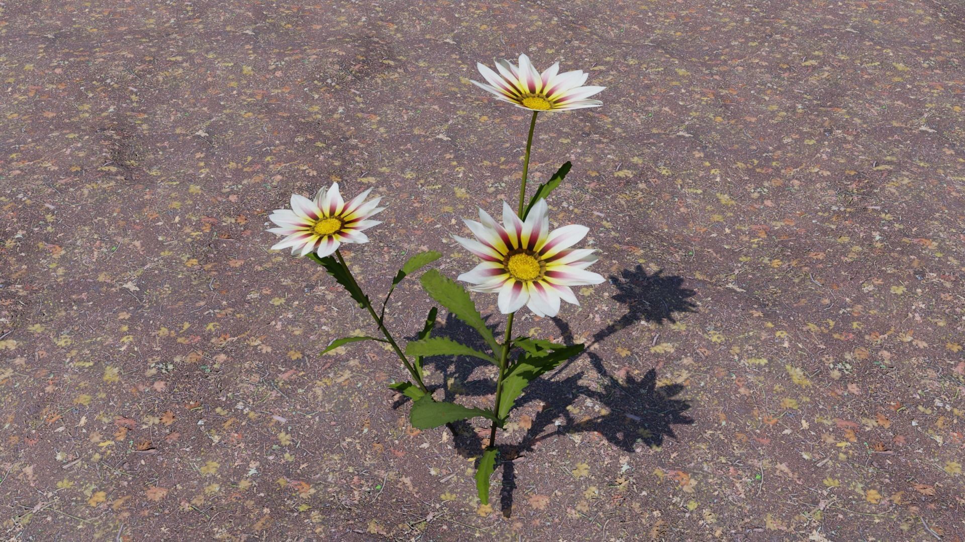 Flowering Plants Collection Low-poly 3D model_8
