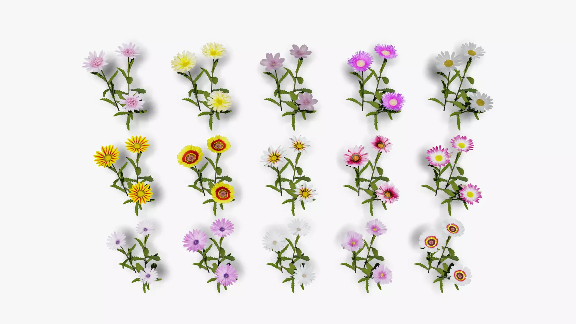 Flowering Plants Collection Low-poly 3D model_0