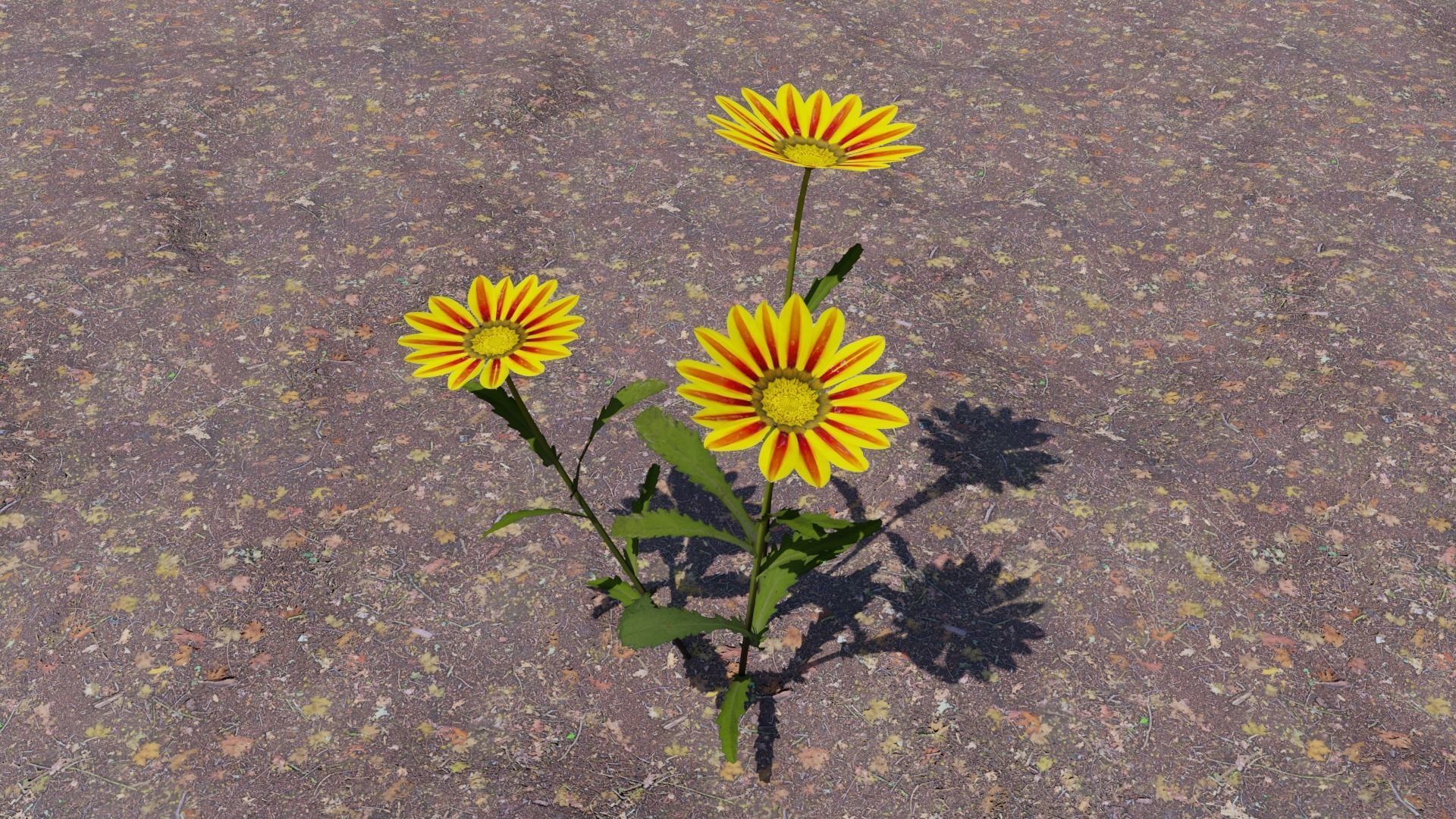 Flowering Plants Collection Low-poly 3D model_6