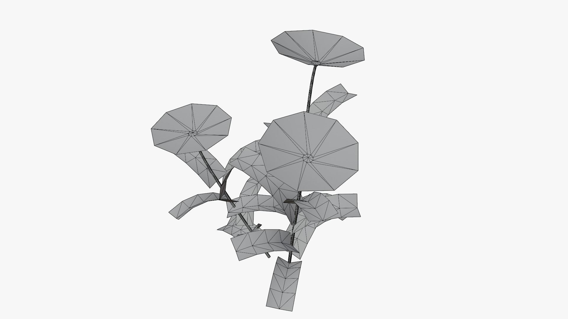 Flowering Plants Collection Low-poly 3D model_17
