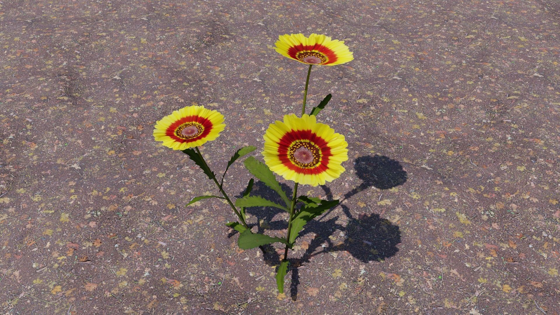 Flowering Plants Collection Low-poly 3D model_7