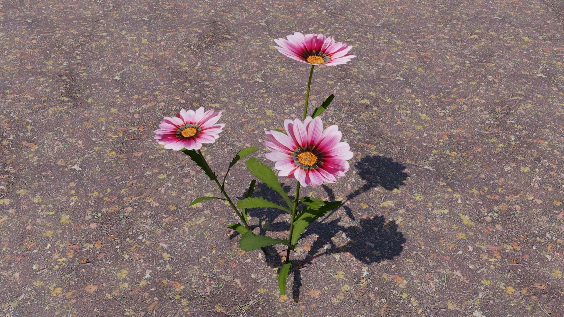 Flowering Plants Collection Low-poly 3D model_9
