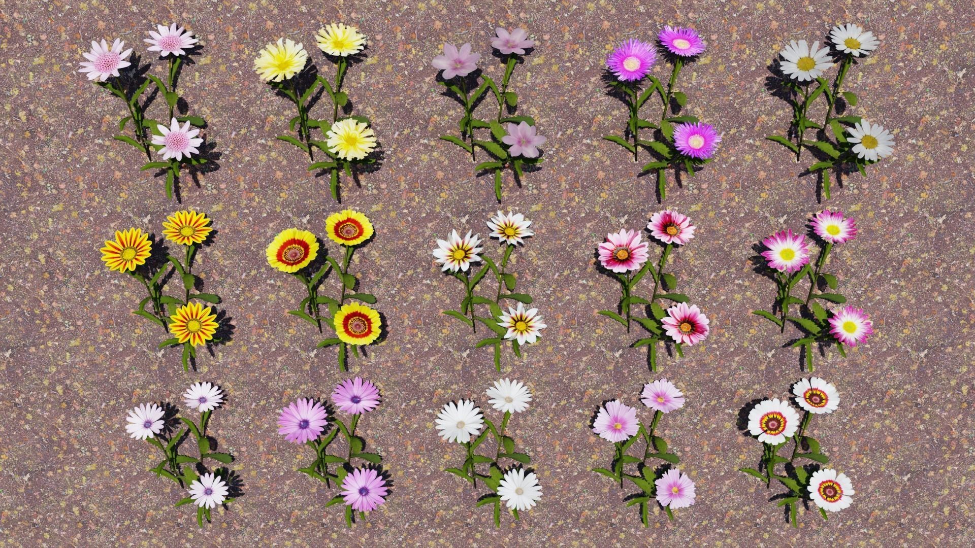 Flowering Plants Collection Low-poly 3D model_18