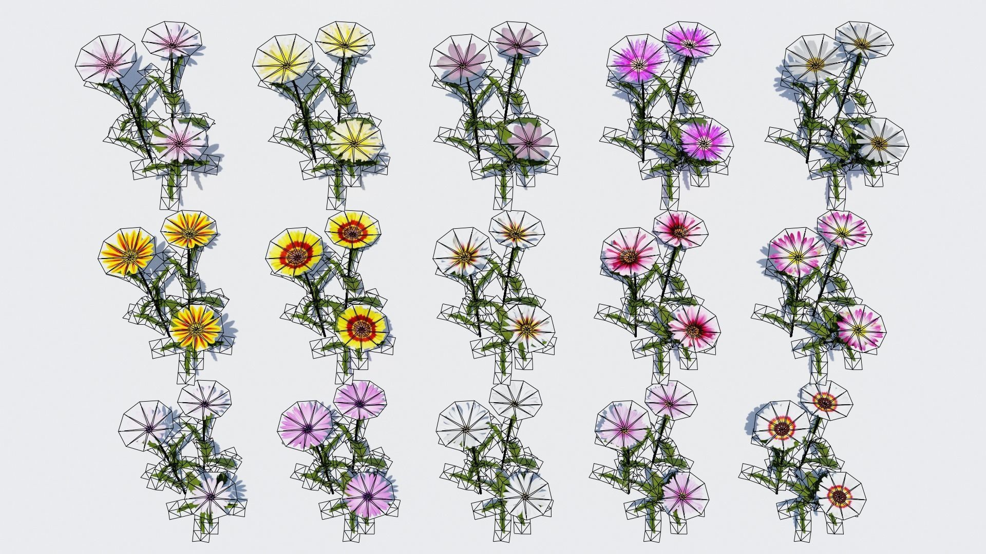 Flowering Plants Collection Low-poly 3D model_19