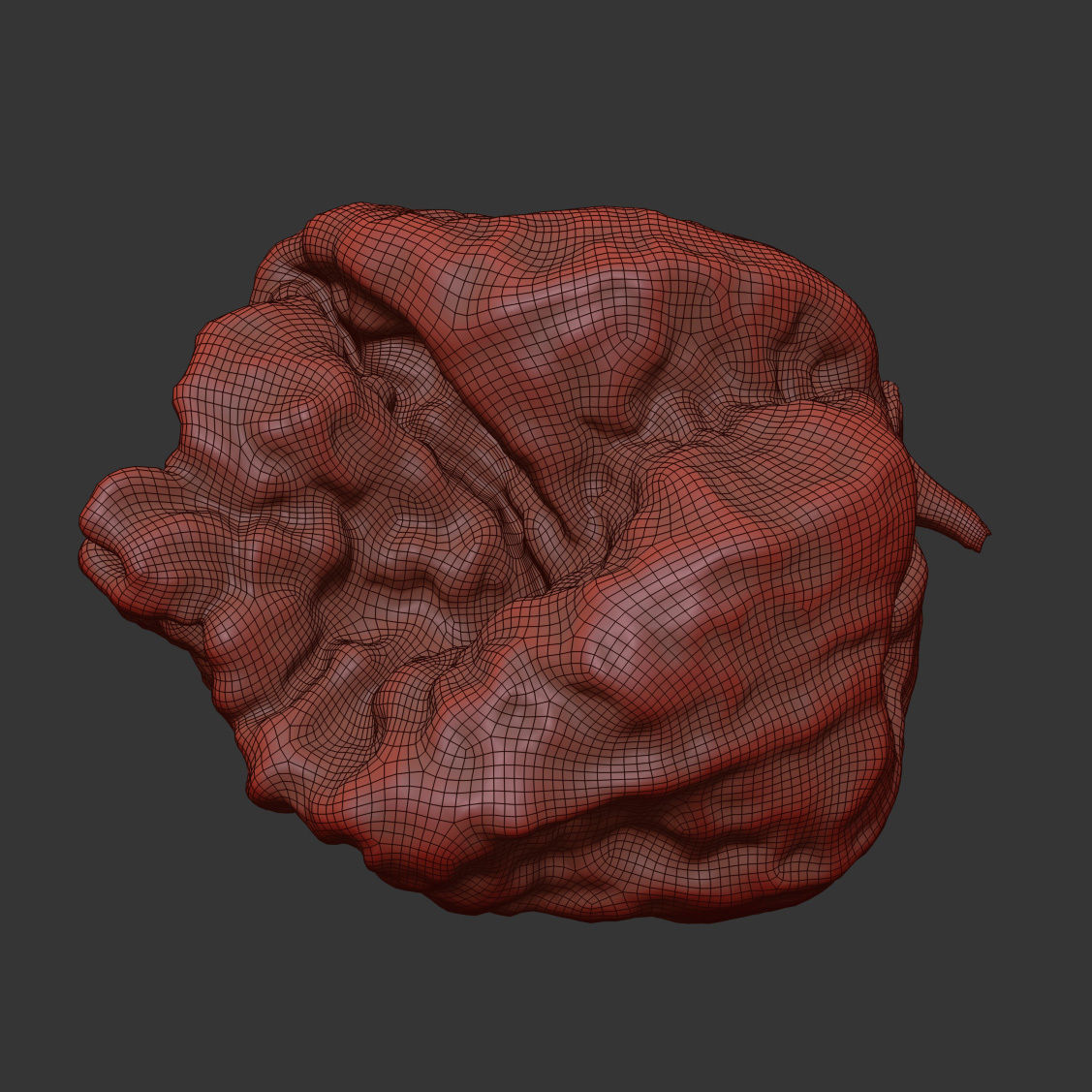 Carolina Reaper 3D model_6