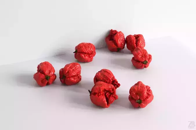 Carolina Reaper 3D model
