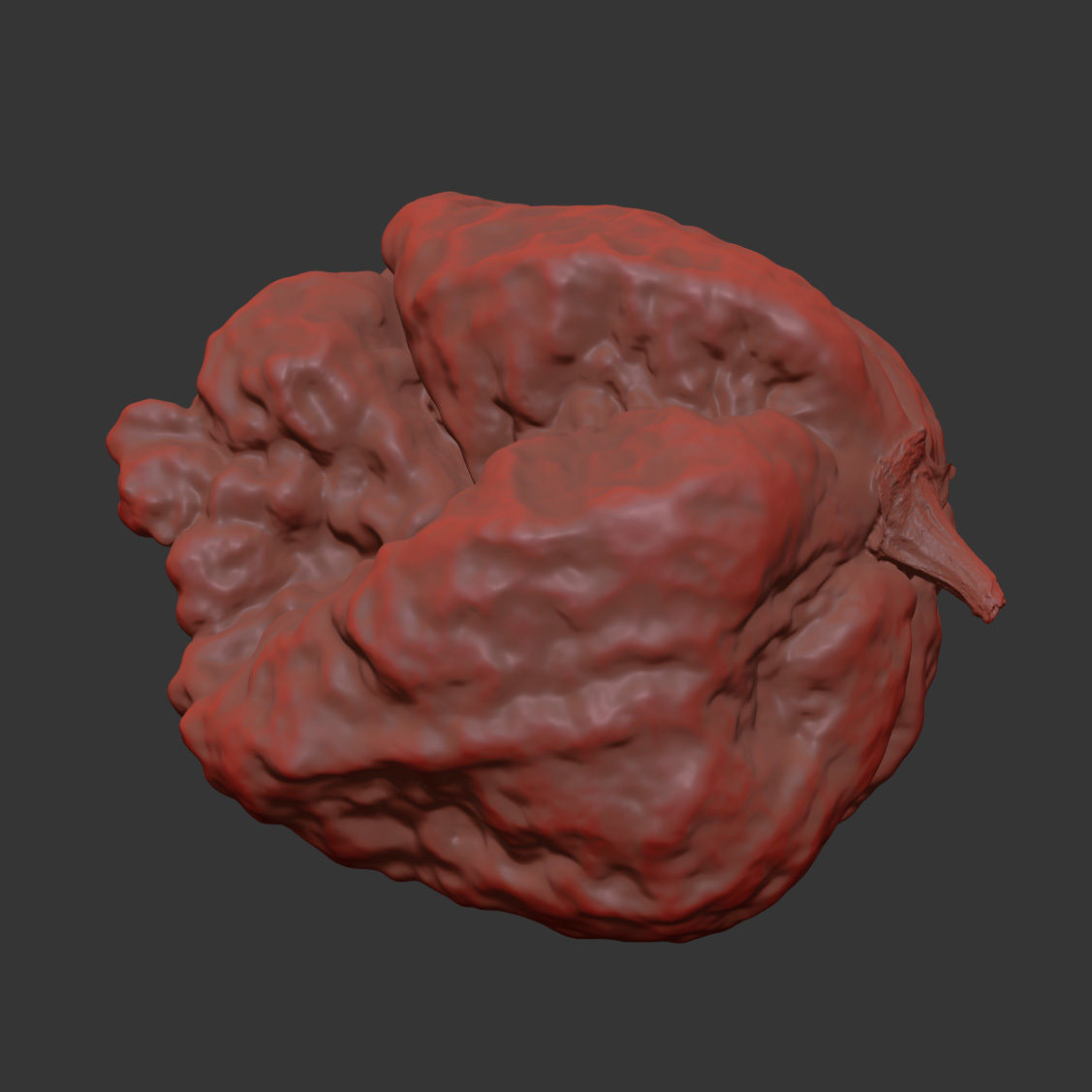 Carolina Reaper 3D model_7