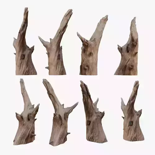 PSWooden003 scanned Wood chip