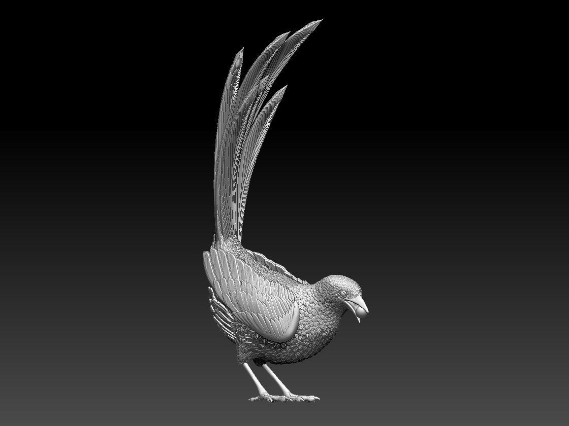 MAGPIE bird 3D print model_53