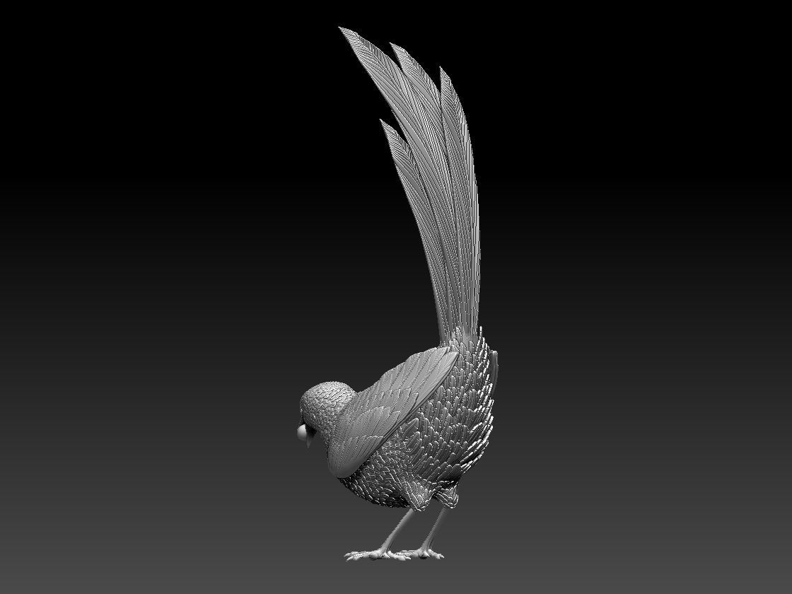 MAGPIE bird 3D print model_3