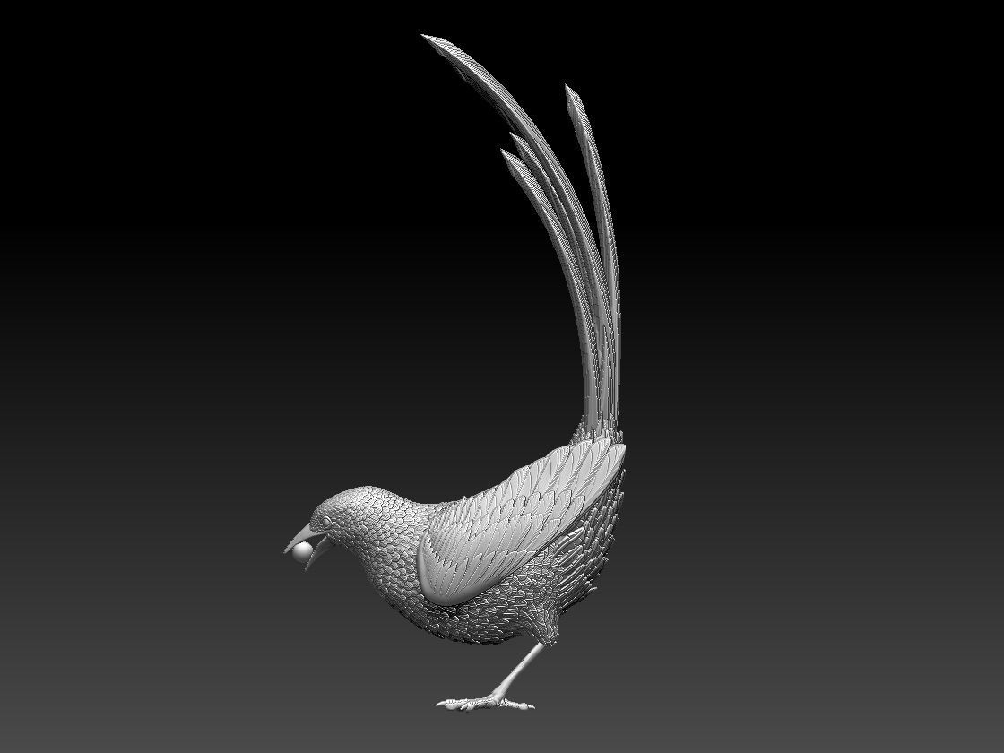 MAGPIE bird 3D print model_55