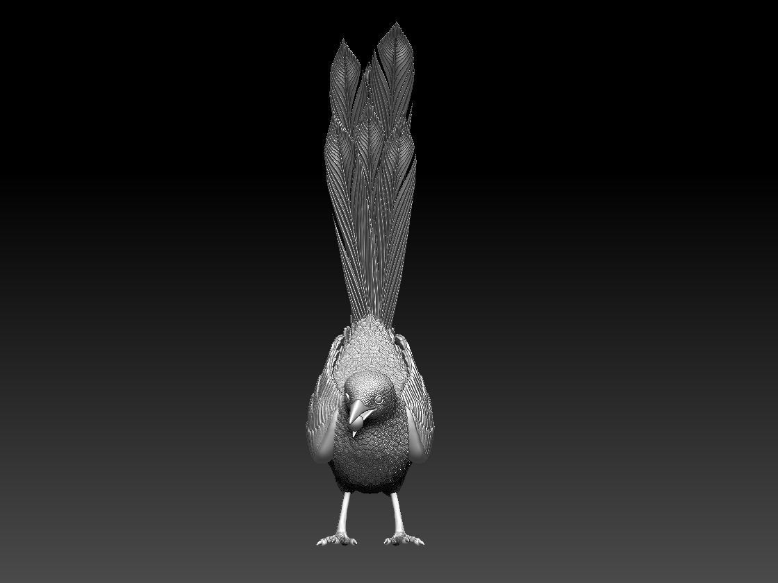 MAGPIE bird 3D print model_17