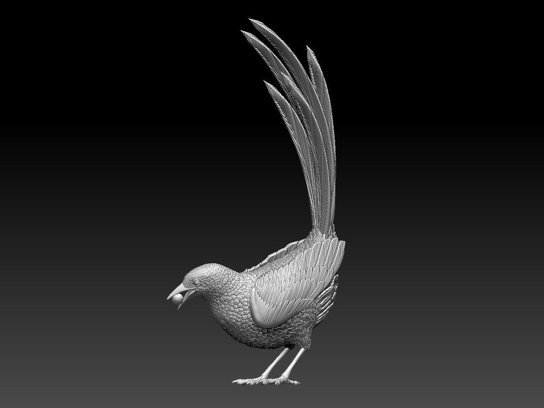 MAGPIE bird 3D print model_10