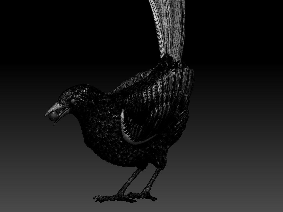 MAGPIE bird 3D print model_7