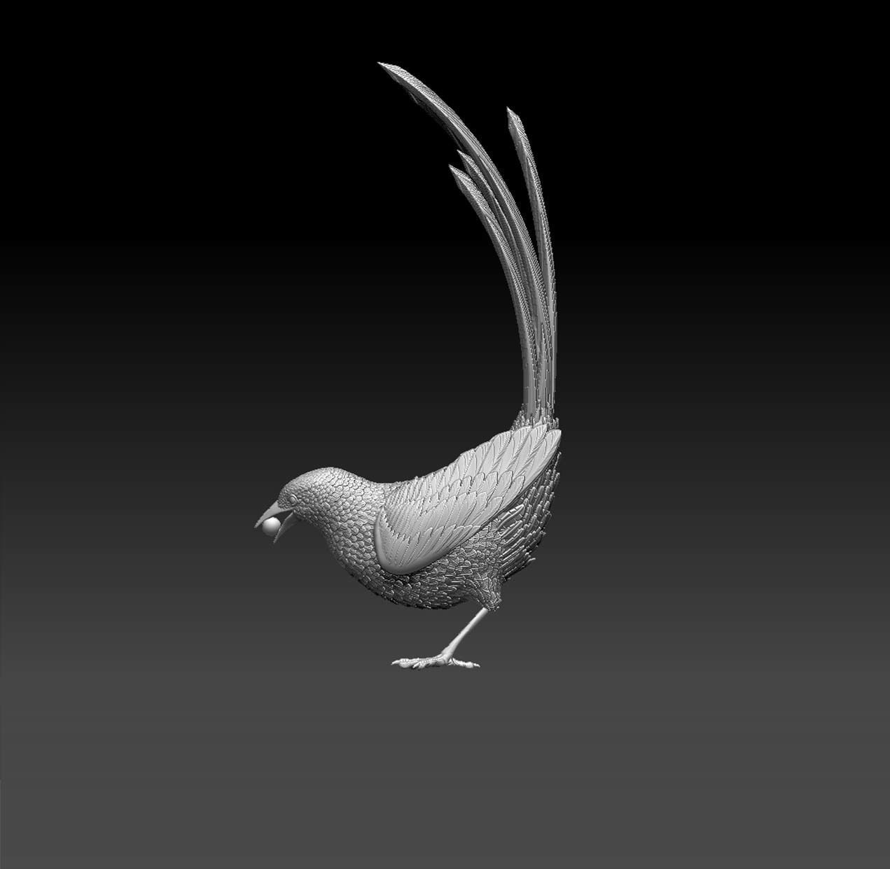 MAGPIE bird 3D print model_9