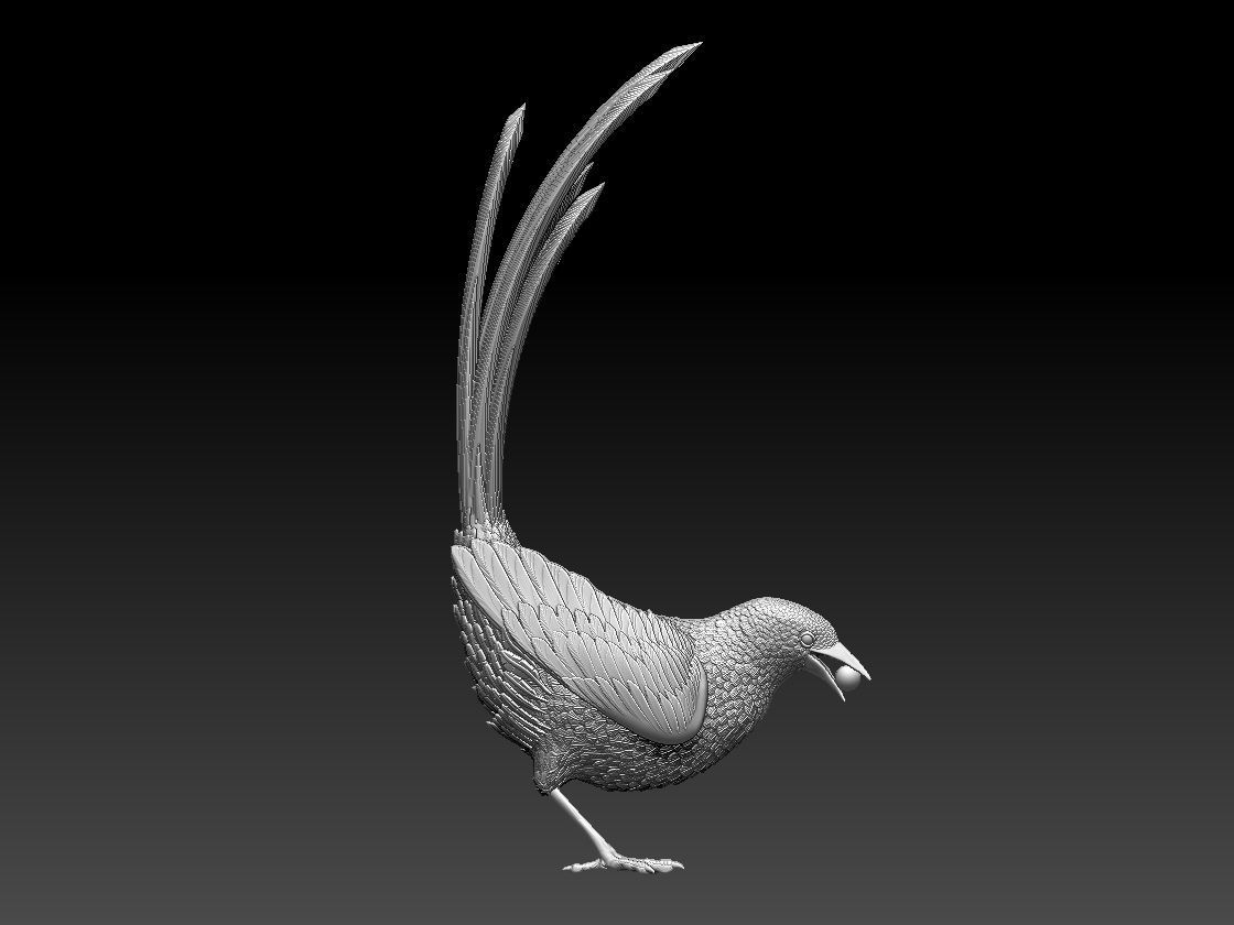 MAGPIE bird 3D print model_54