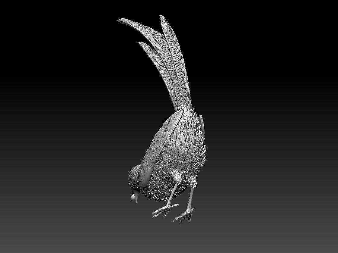 MAGPIE bird 3D print model_57