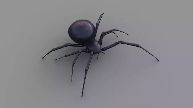 Black Widow rigged animated 3d spider 3D model