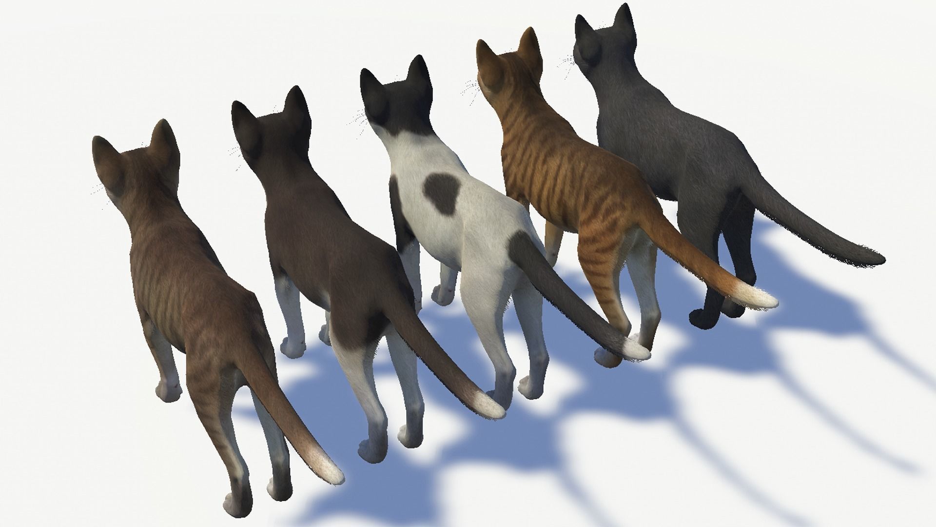 Cats -Stray Low-poly 3D model_13