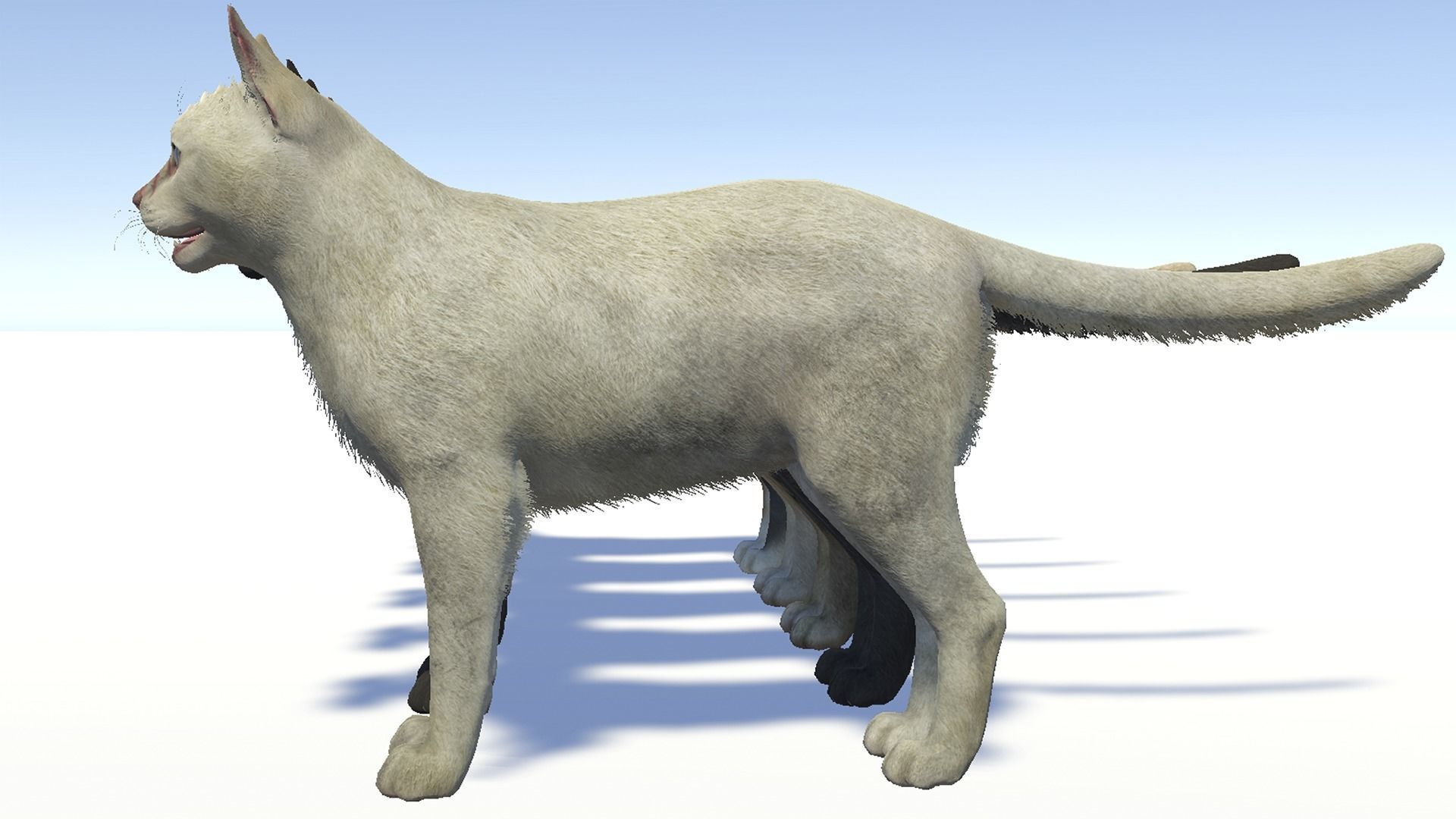 Cats -Stray Low-poly 3D model_6