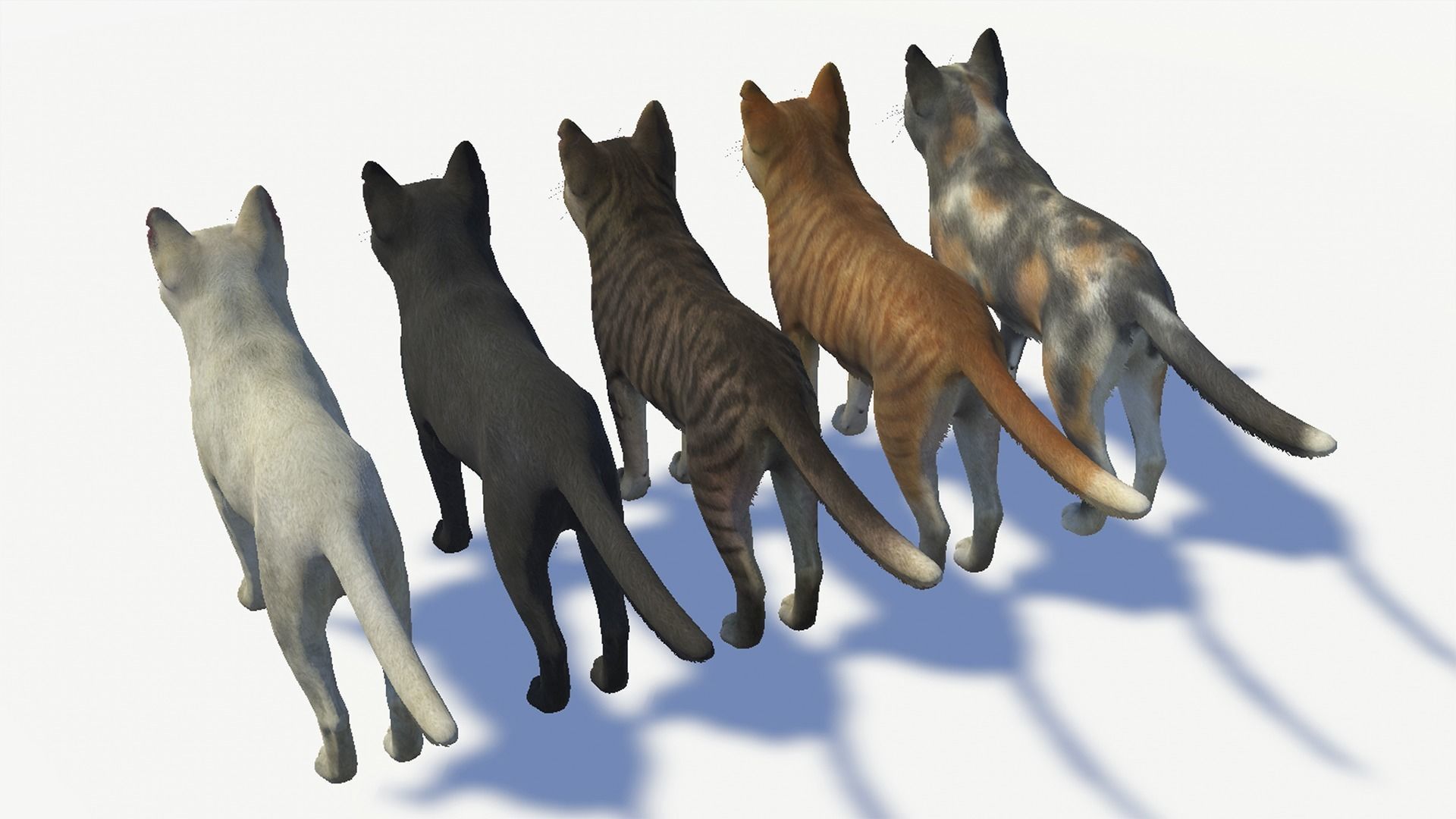 Cats -Stray Low-poly 3D model_12