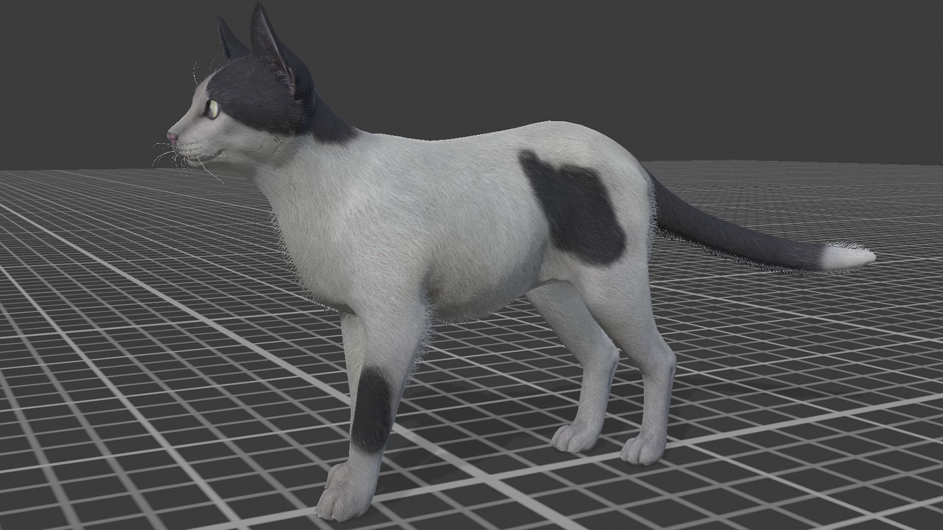 Cats -Stray Low-poly 3D model_3