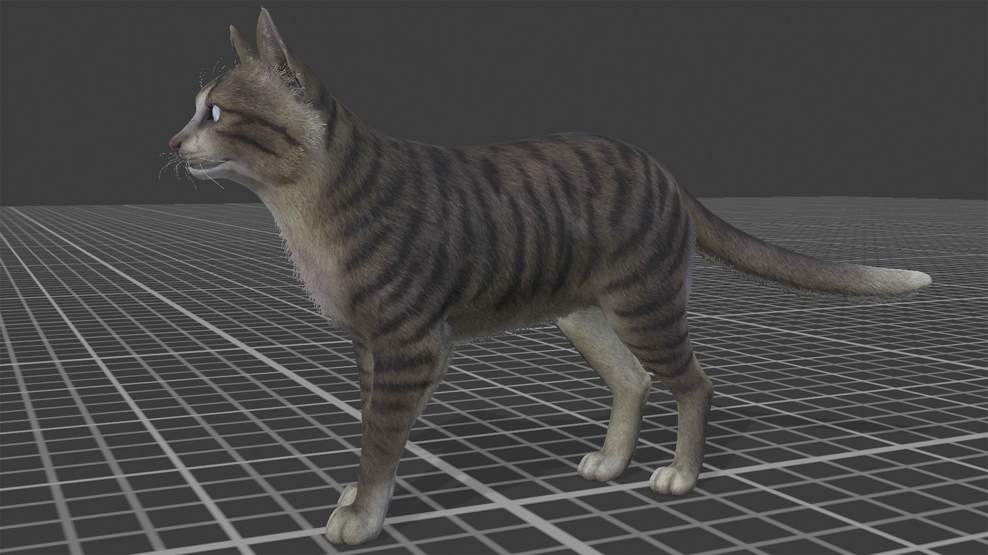 Cats -Stray Low-poly 3D model_2