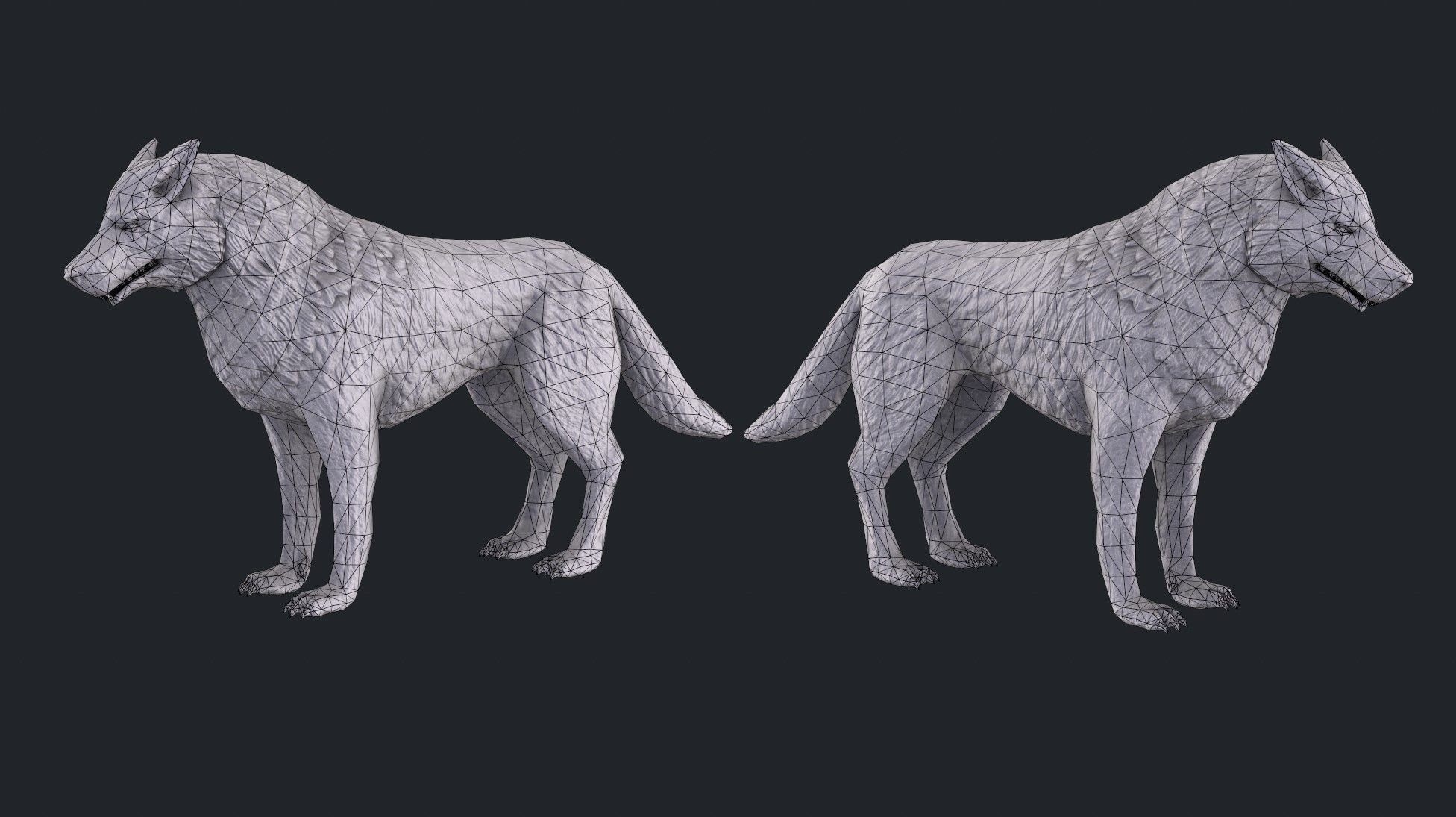  Wolf Statue Low-poly 3D model_7