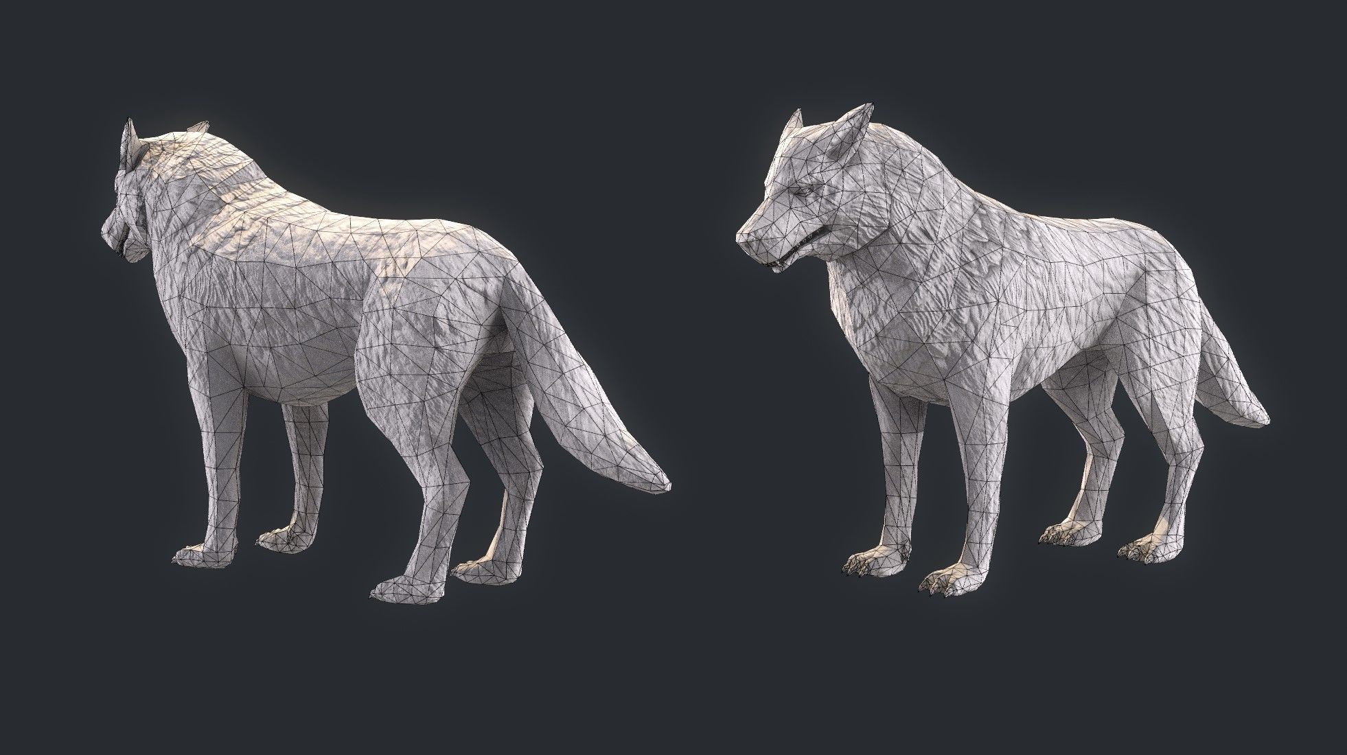  Wolf Statue Low-poly 3D model_8