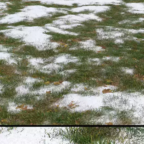 grass with snow