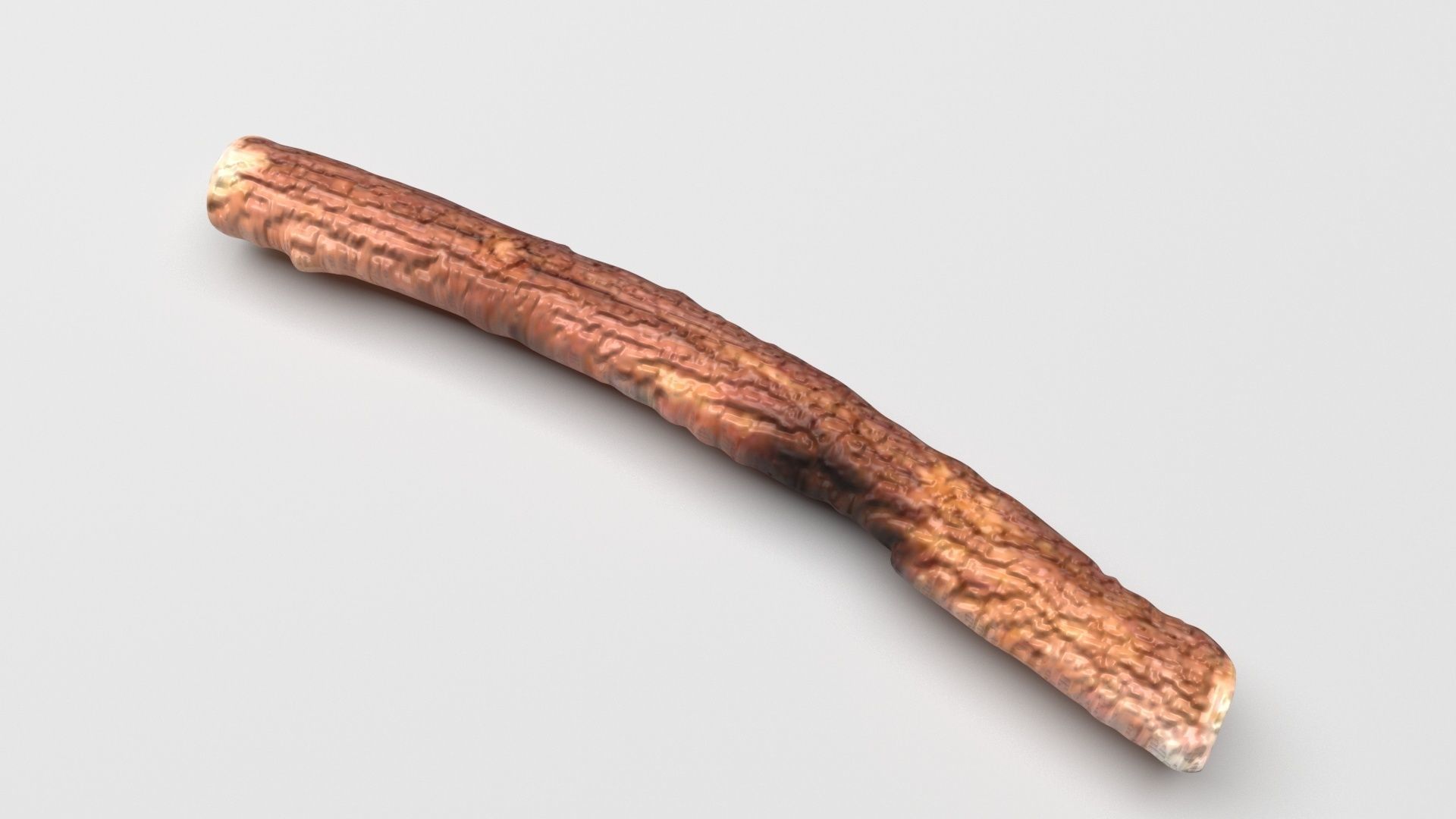 Licorice Root 3D model_3