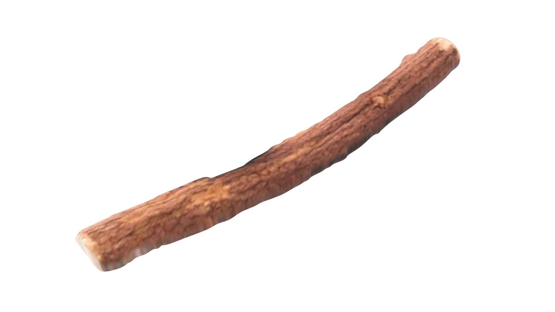 Licorice Root 3D model_14