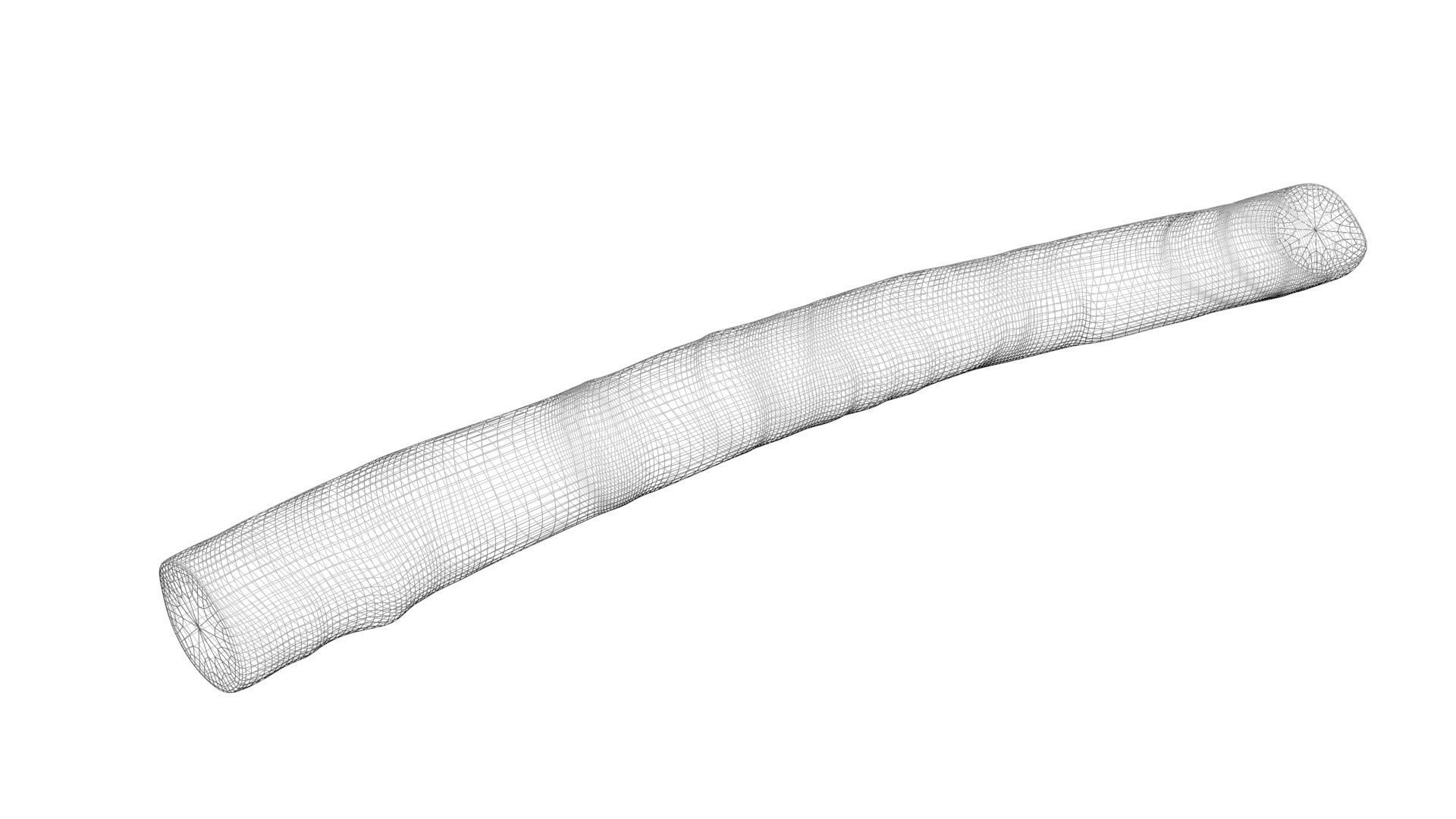 Licorice Root 3D model_22