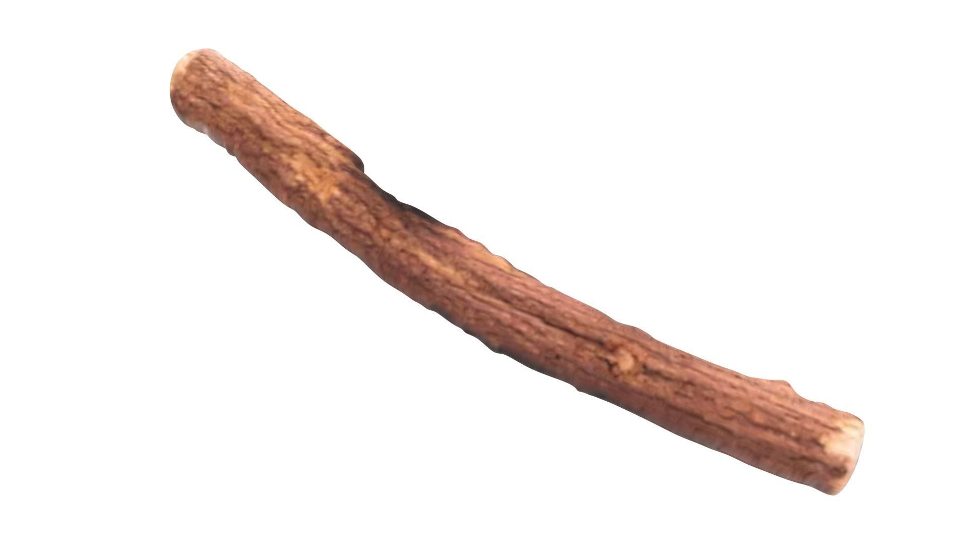 Licorice Root 3D model_15