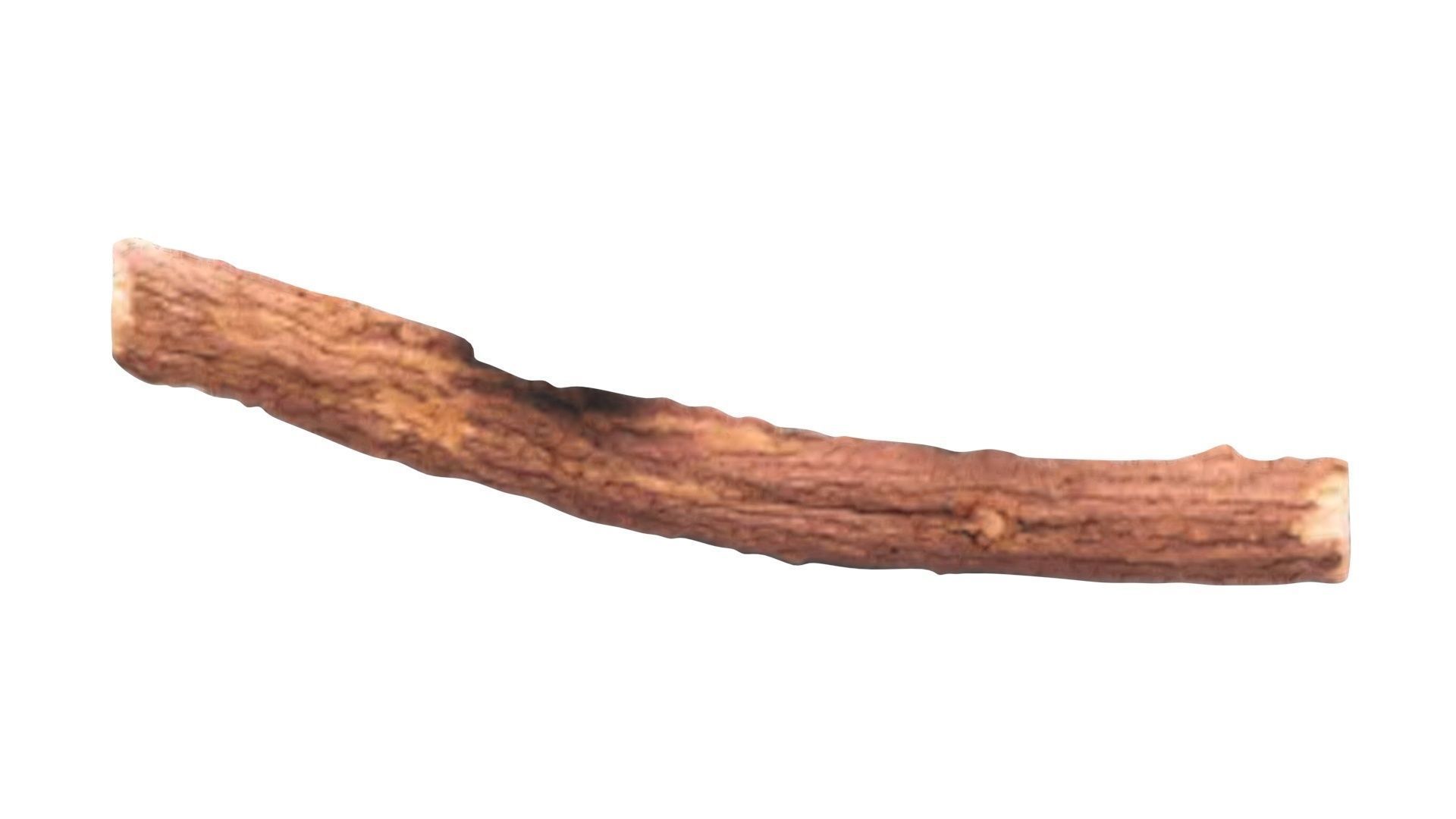 Licorice Root 3D model_19